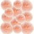 12-Pack Paper Flower Backdrop (10″ & 6″)