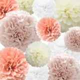 22-Pc Tissue Paper Pompoms Paper Flower