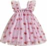 Baby Girl’s Tutu Dress