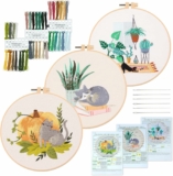 3 Sets Cute Cat Embroidery Starters Kit with Pattern for Beginners