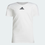 Adidas Kids SS Pregame Tee (XS & S)